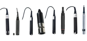 河北省某市推進生態(tài)環(huán)境建設，讓山更美水更清